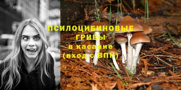 шишки Красноперекопск