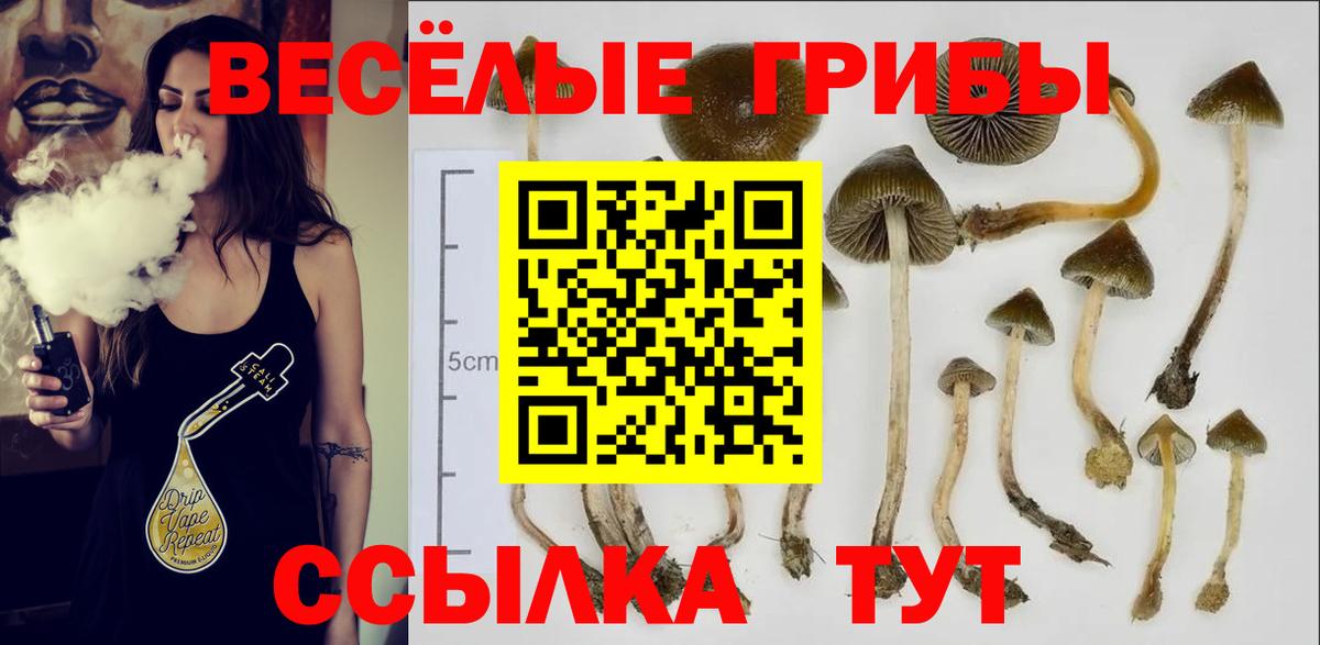 Галлюциногенные грибы MAGIC MUSHROOMS  Псилоцибиновые грибы Psilocybine cubensis  Вход с VPN  Чебаркуль 