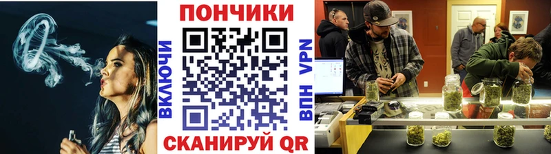 хочу наркоту  Чебаркуль  Шишки марихуана сатива 